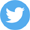 social-share-twitter