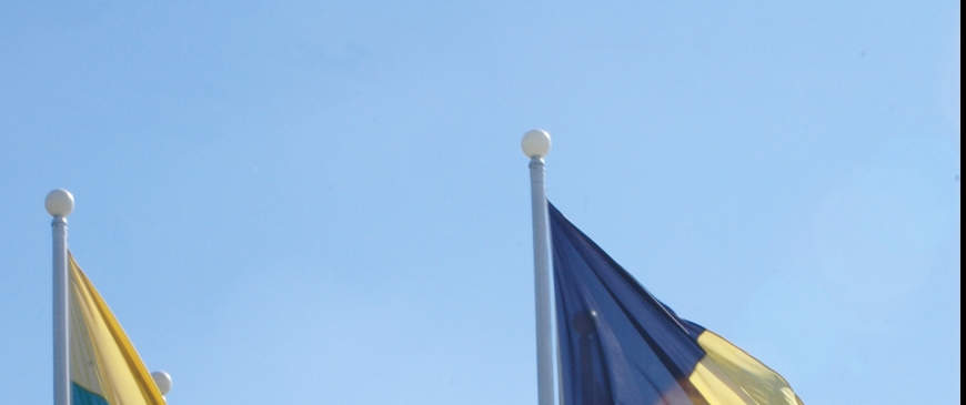 EU foreign policy must not become a casualty of the euro crisis spotlight image