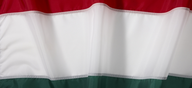The EU's Hungary headache - and a whiff of double standards The EU's Hungary headache - and a whiff of double standards