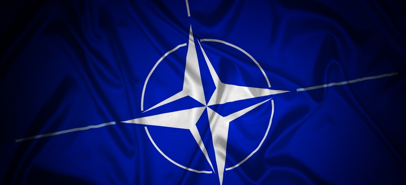 What does Europe's austerity movement mean for NATO?