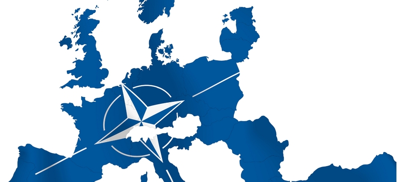 NATO urged to look beyond borders 