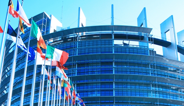 EU politics after the elections
