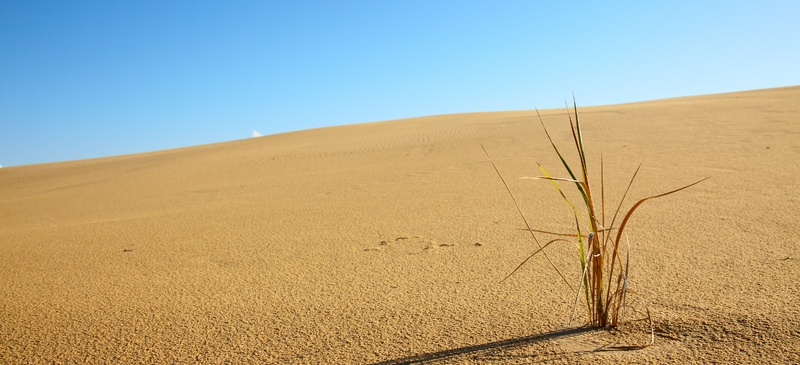 The EU's climate agenda hangs in the balance