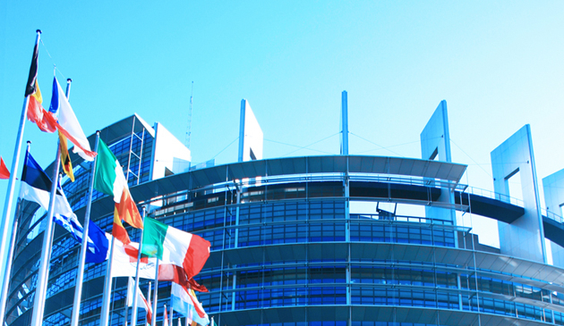 The case for a stronger European Parliament The case for a stronger European Parliament