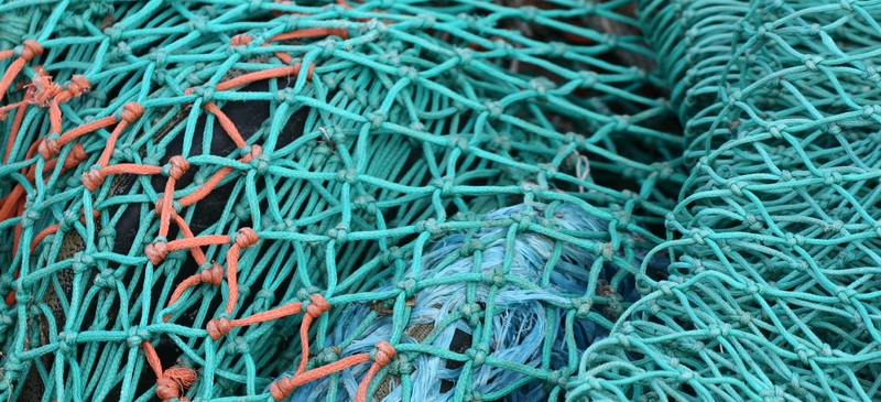 The EU's common fisheries policy: The case for reform, not abolition
