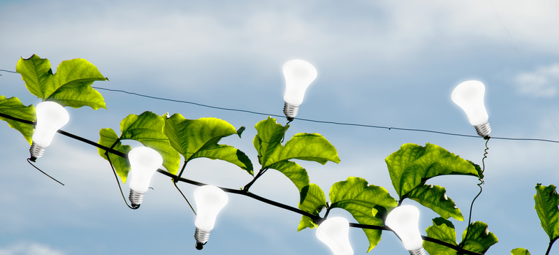 EU energy: Decarbonisation and economic competitiveness EU energy: Decarbonisation and economic competitiveness