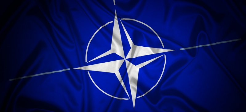 NATO: Guardian of peace or bellicose bully? spotlight image