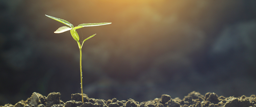 Conference report: The politics of slow growth in Europe
