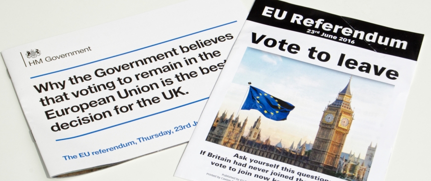 Why Britain voted to leave (if it does...)