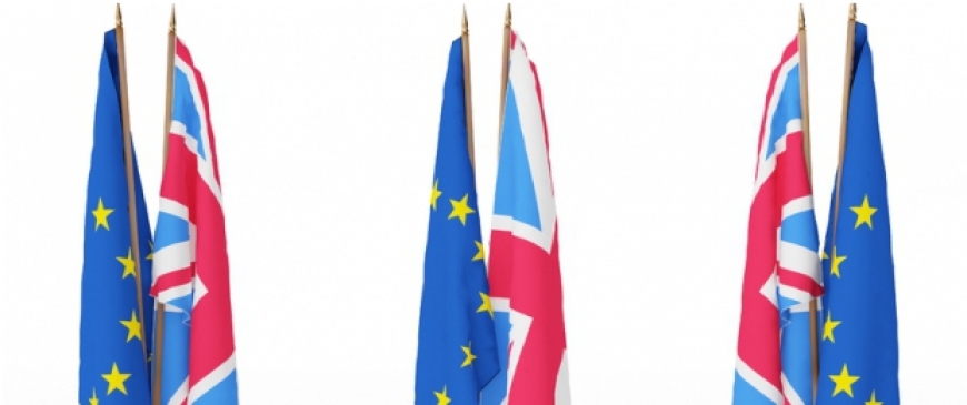 Britain would be unwise to thwart Europe's treaty Britain would be unwise to thwart Europe's treaty