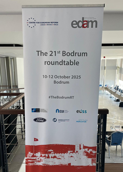CER/EDAM 21st Bodrum Roundtable