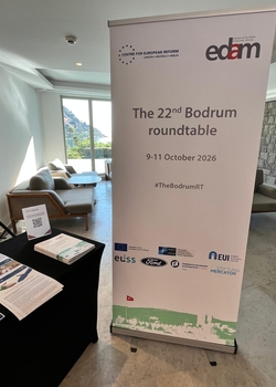 CER/EDAM 22nd Bodrum Roundtable
