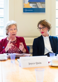 London launch of 'Parliamentarians in Brexit talks: Bulls in a china shop?’