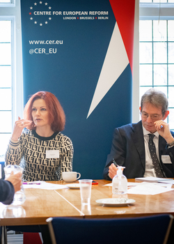 Discussion on 'The war in Ukraine: Strategic, military and historical perspectives'