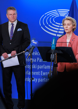 Taking the Pulse: Should the EU bite the 10 per cent tariff bullet with the United States?