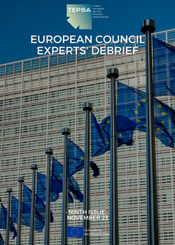TEPSA: European Council experts' debrief