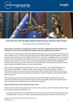 Can the EU's next budget defend democracy and the rule of law?