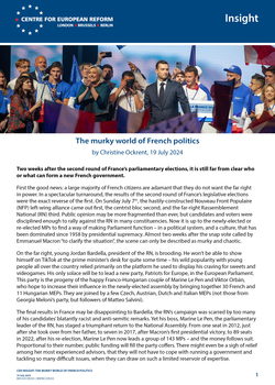 The murky world of French politics