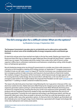 The EU's energy plan for a difficult winter: What are the options?