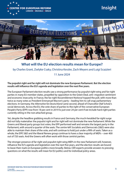 What will the EU election results mean for Europe?