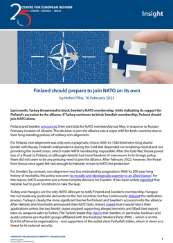 Finland should prepare to join NATO on its own