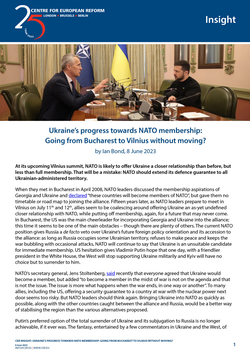 Ukraine's progress towards NATO membership: Going from Bucharest to Vilnius without moving?