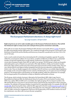 The European Parliament elections: A sharp right turn?
