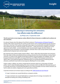 Reducing or removing CO2 emissions: Can offsets make the difference?