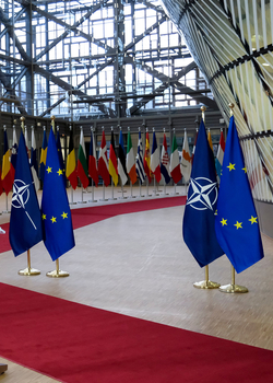 CER/Brookings webinar: Is Europe capable of defending itself?