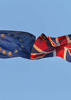 Webinar on 'What kind of EU-UK relationship, post-Brexit?' with João Vale de Almeida, EU Ambassador to the UK