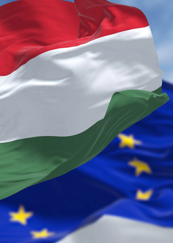 Viktor Orbán is gone. What does his fall mean for Europe?