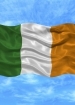 Irish government