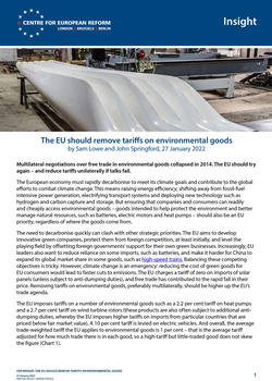 The EU should remove tariffs on environmental goods