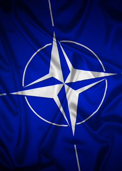 Taking the Pulse: Can NATO Survive the Iran war?