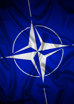 Discussion on 'NATO's Ankara summit: A preview' with Angus Lapsley, UK Permanent Representative to NATO