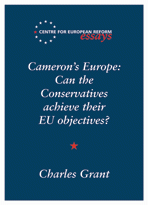 Cameron's Europe