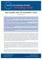 New Europe and the economic crisis