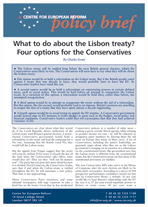 What to do about the Lisbon treaty? Four options for the Conservatives 