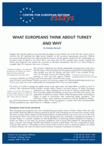 What Europeans think about Turkey and why