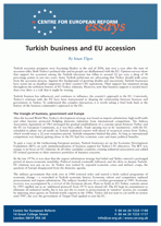Turkish business and EU accession