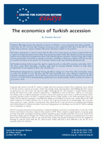 The economics of Turkish accession