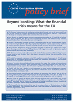 Beyond banking: What the financial crisis means for the EU