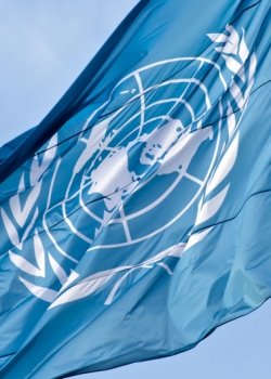 UN flag