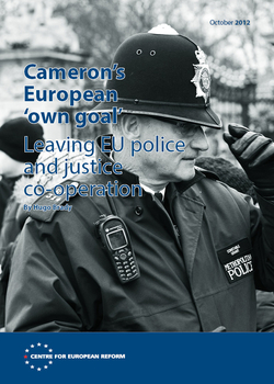 Cameron's European 'own goal'