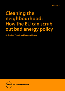 Cleaning the neighbourhood: How the EU can scrub out bad energy policy